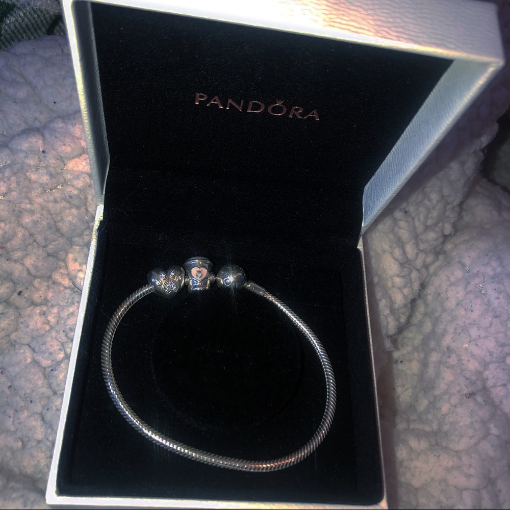 Pandora bracelet with two charms